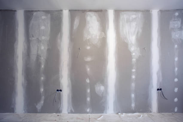 Best Environmental Consulting for Mold Prevention  in Post Falls, ID